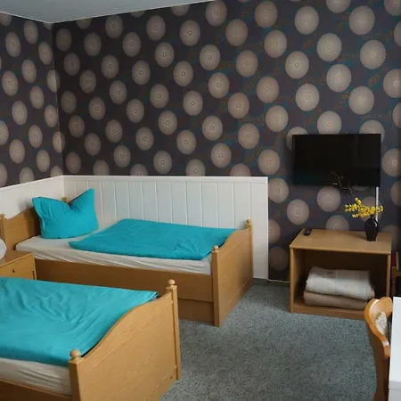 בית הארחה Triebischtal 3*